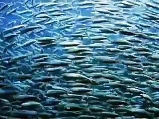 El Codigo Secreto en la Oración del Padre Nuestro