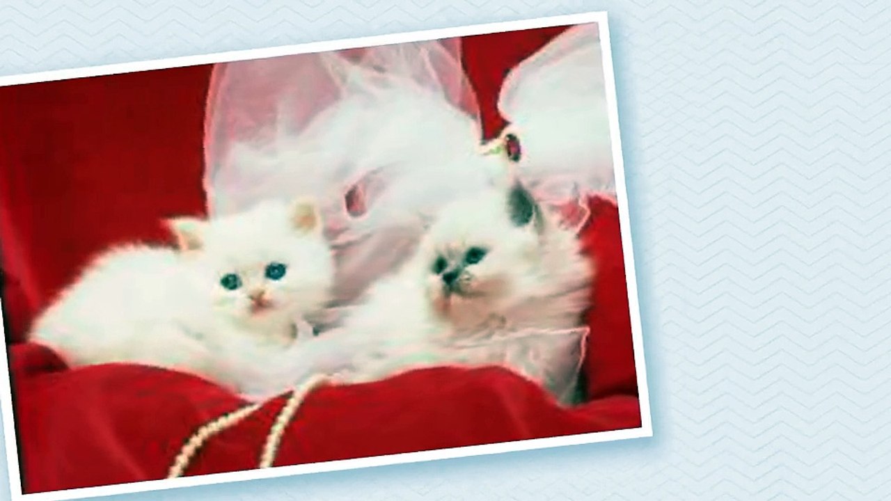 Facebook New Style Video 2014 Enjoy It