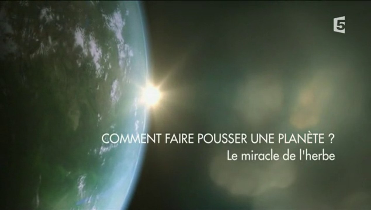 Comment Faire Pousser Une Planète ? - Episode 3 - Le Miracle De L'Herbe [FINAL]