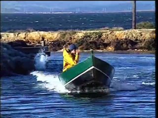 ANTHROPOLOGIE : Un titi chez les flamants roses