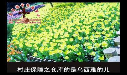 《和合本圣经视频》17c 历代志上