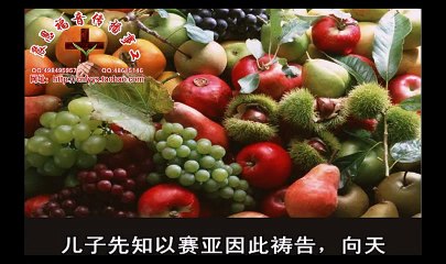 《和合本圣经视频》18c 历代志下