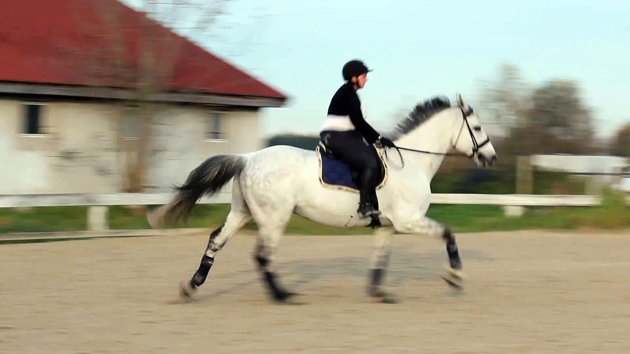 Gaga et Isa - galop - novembre 2014