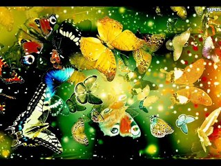 Flames of love &  Serca żar (cover )