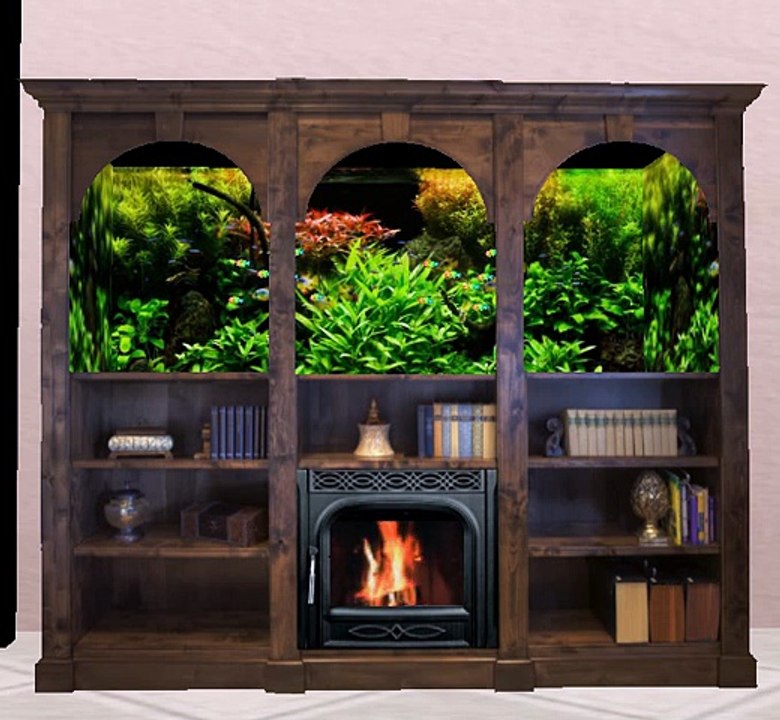 Bookcase Aquarium Fireplace bois