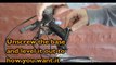 How to Adjust Bicycle Handlebars _ How to Repair Bicycles