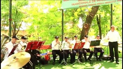 Bursa Muzicantilor Romania - Fanfara Constantin Manaila - Polca Instrumental