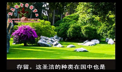 《和合本圣经视频》33a 以赛亚书1