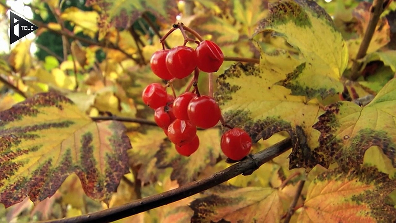 Congrès des maires : comment s'en sortent les petites mairies ?