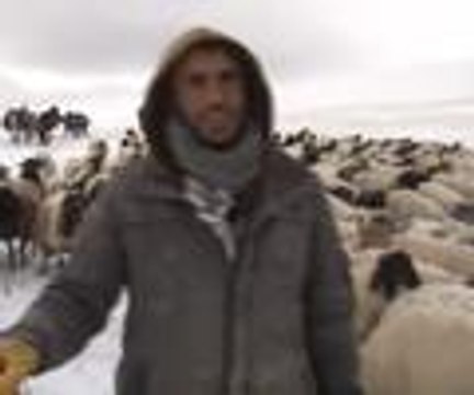 Yaylacıların zorlu dönüş yolculuğu