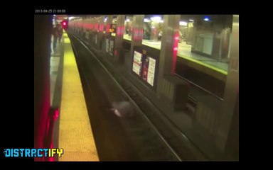 Real Life Heroes - Restore Your Faith in Humanity