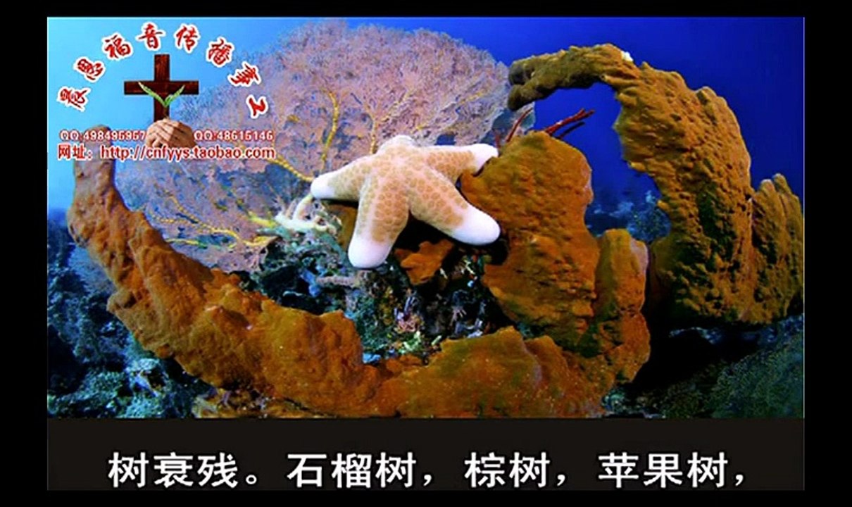 《和合本圣经视频》43 约珥书