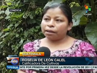 Guatemala: indígenas participan en certamen de agricultura ancestral
