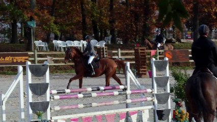 prépa 1,10 le mans gold nov 2014