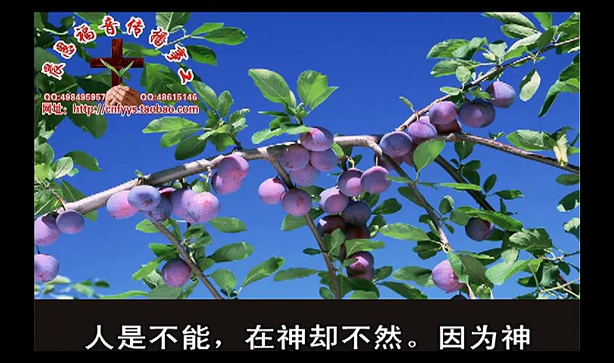 《和合本圣经视频》55b 马可福音