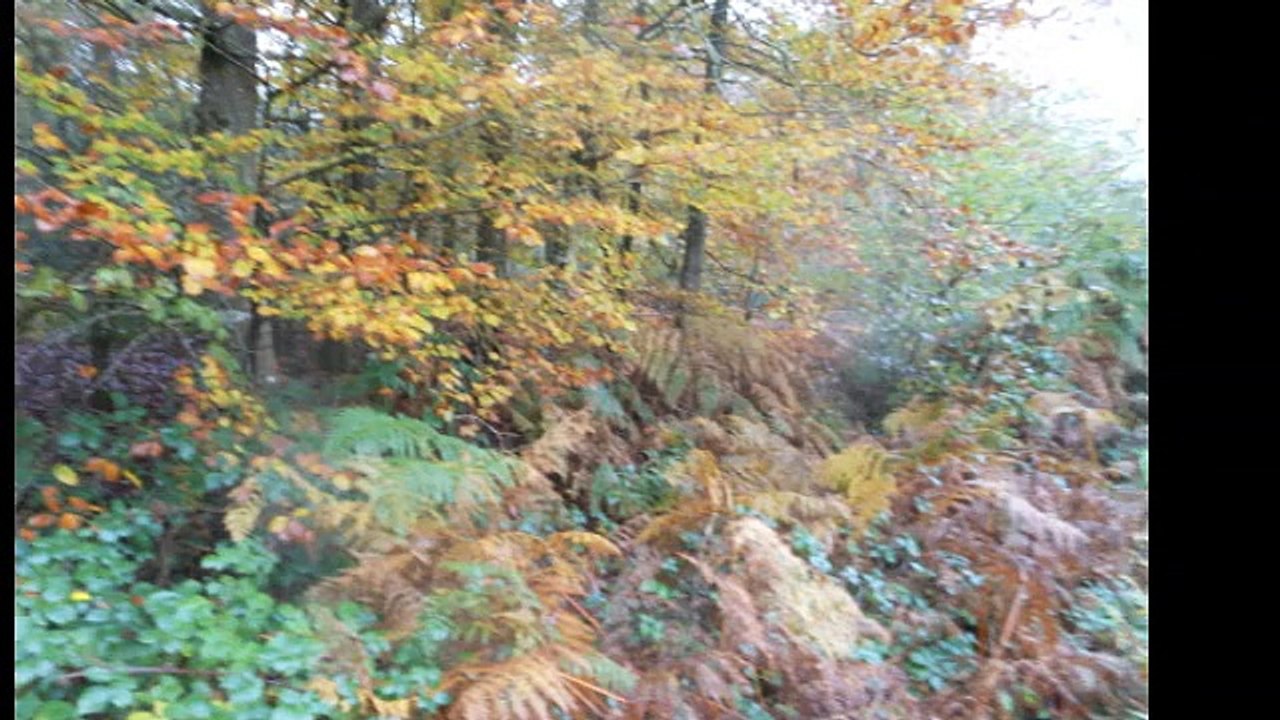 RANDO TRAIL AU MOULIN DU BOËL  AU FIL DE L'EAU AU LONG DE LA VILAINE   avec MARIO