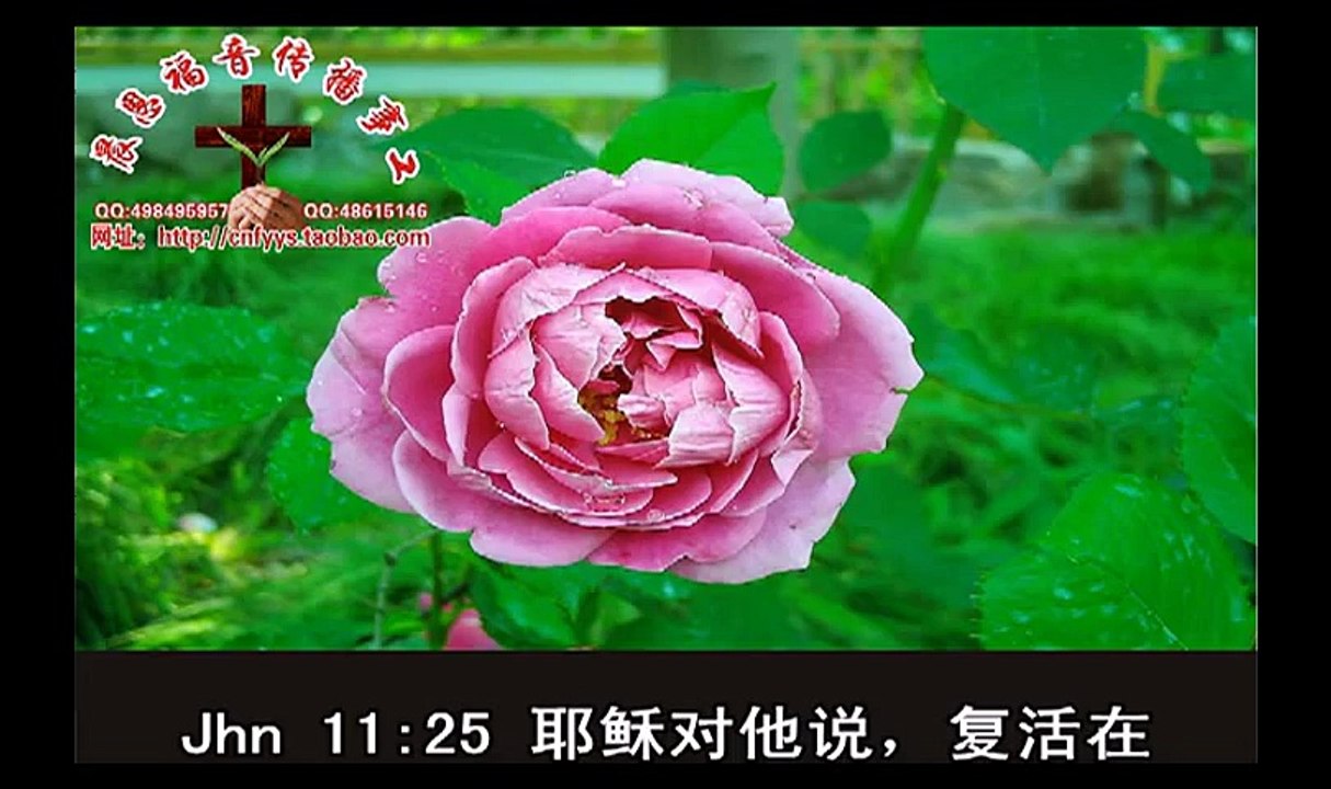 《和合本圣经视频》57b 约翰福音