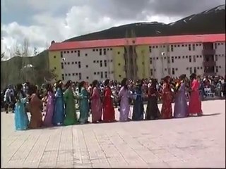 HAKKARİ COLEMÊRG MUHTEŞŞEM  YÖRESEL HALAY