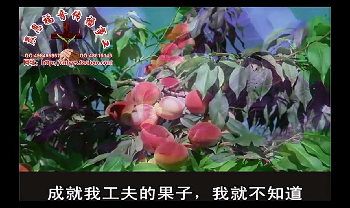 《和合本圣经视频》64 腓立比书