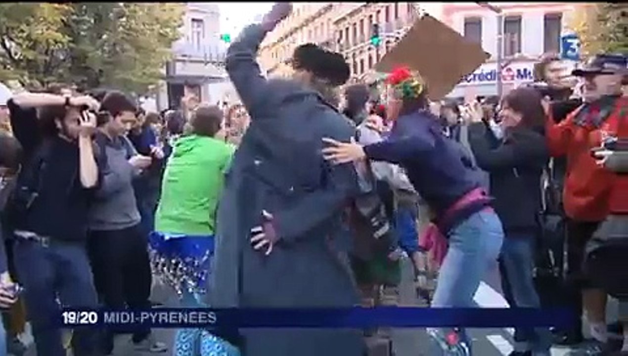 manif Sivens Remi Fraisse Tolosa 22/11/2014