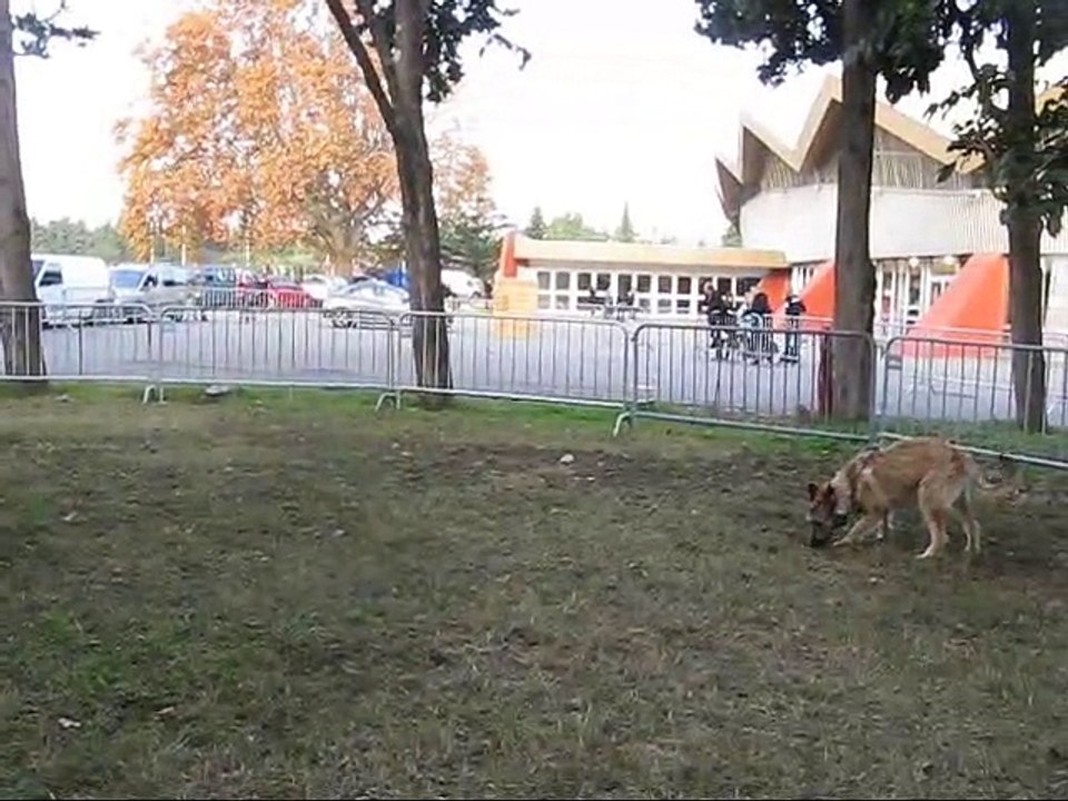 Jura de la Croix aux Chevaux, BB Laekenois, passage du CANT 7 mois