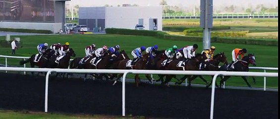 Dubai - Muito mais do que arquitetura e sultões!