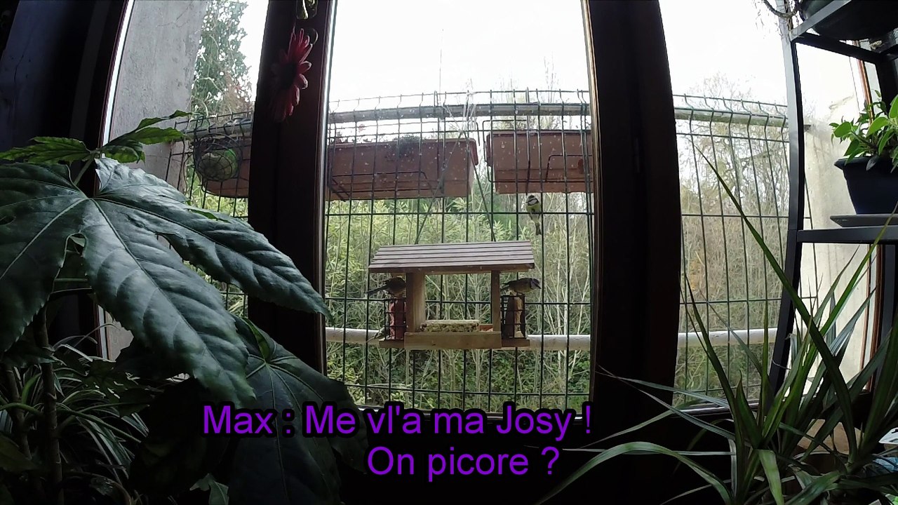 Max et Josy