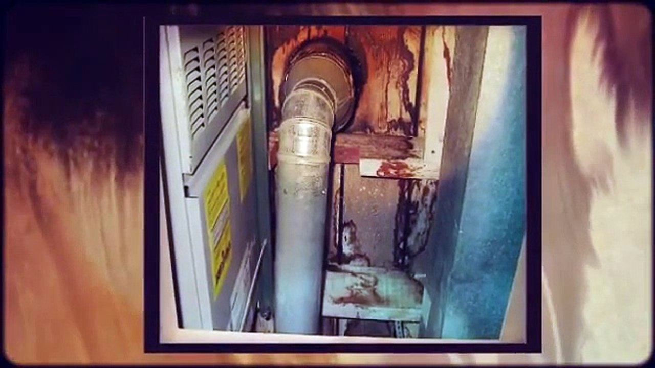 Home Inspectors Orlando Explain Mold