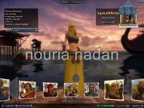 Guildwars complaction