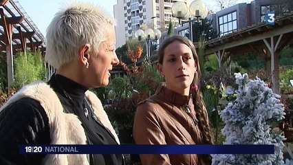 La douceur de l'automne