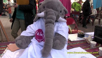 L'Elef la nouvelle monnaie de Chambéry