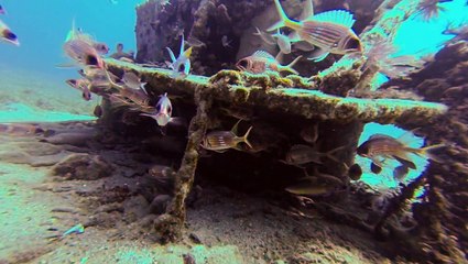 Timjak 2014 - sous la mer - under the sea