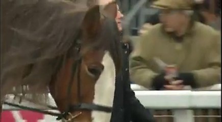 Martin Clunes - Exeter Pony & Clydesdale Races