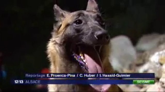 FR3-Dorlisheim : des secours en exercice (Exercice Franco-Allemand)