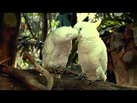 Somos Todos Humanos: Preconceito Sexual por Martpet