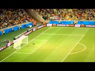 Festa da Grécia e decepção da Costa do Marfim após o jogo no Castelão