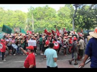 Mulheres da Via Campesina bloqueiam avenida durante protesto
