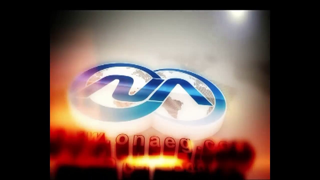 بالفيديو.. ضبط 31 طن ونصف دقيق مدعم بالفيوم قبل تهريبهم للسوق السوداء