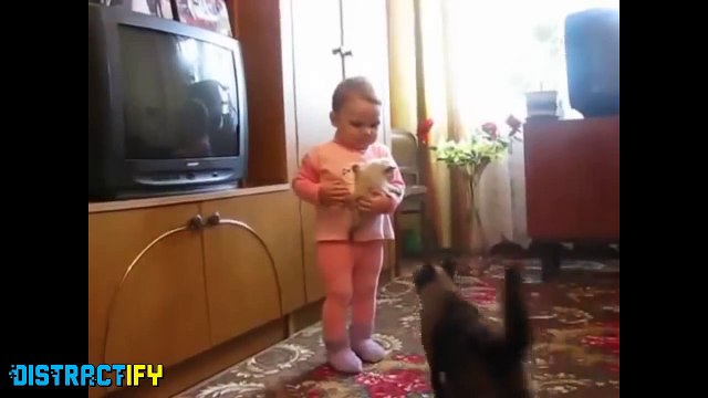 Animals Sure Can Be Assholes