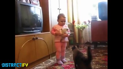 Animals Sure Can Be Assholes