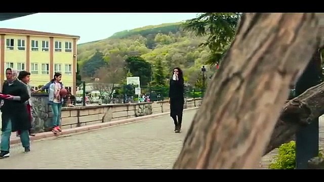 Recycling bin for stray animals produced Pugedon