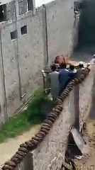 Amazing Fight    Cow Vs Man