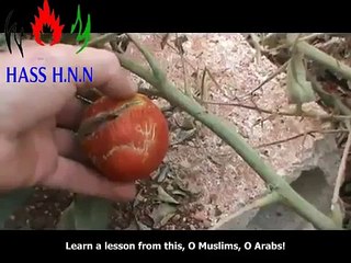 NEW Islamic Miracle in Syria -VIDEO- Allah Al Nasir!