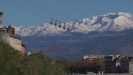 A Grenoble, des arbres à la place des panneaux publicitaires