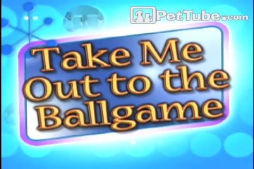 Funniest Pets & People_ Episode 3- PetTube