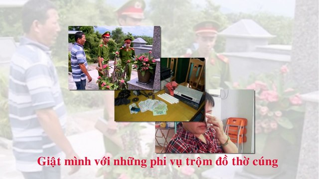 Tin tức an ninh pháp luật ngày 24/11/2014