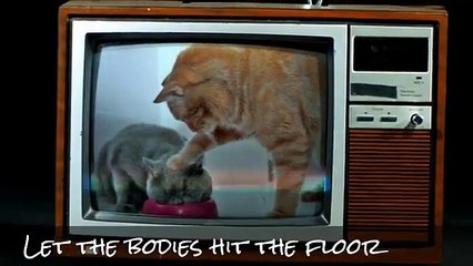 Let the Bodies Hit the Floor