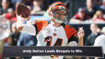 Morrison: Dalton Leads Bengals to Win