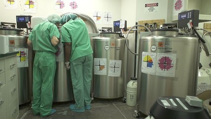 Annals of Ideas - Egg Freezing: A Hope, Not a Promise