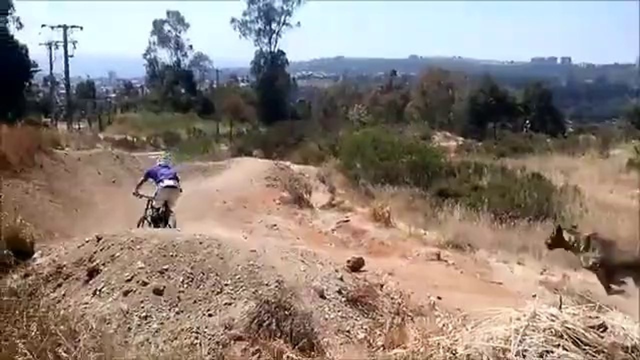 Un chien saute une bosse, pas comme un boss!